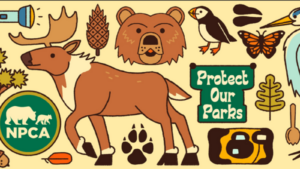 A cartoon montage of nature images portrayed in earth tones, with the banner "Protect Our Parks" and the NPCA logo.